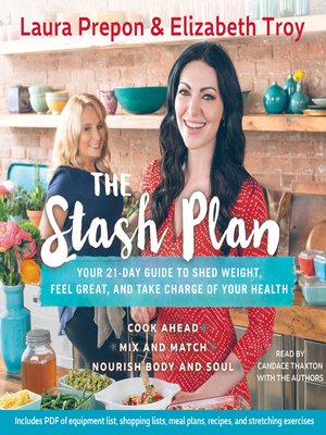 cover image of The Stash Plan